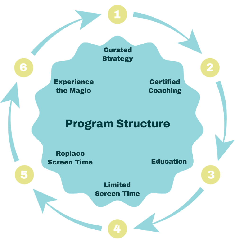 Program Structure Cirlcle