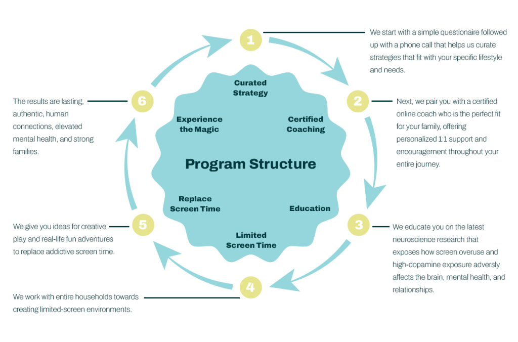 Program Structure Phone